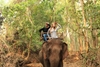 Elephant Riding in Luang Prabang