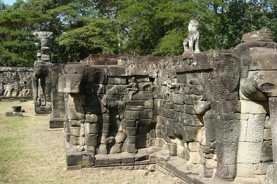 Elephants Terrace