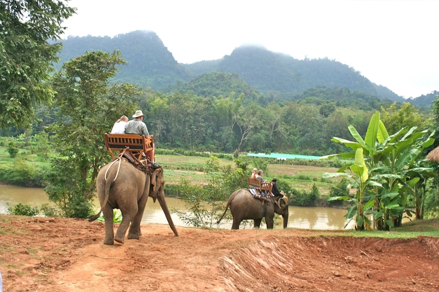 Elephant Village	