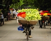 Color of Hanoi