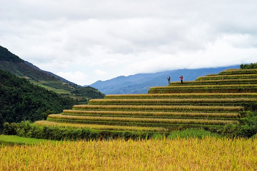 Sapa by bus 2 days – 1 night Bac Ha Market (overnight in hotel - Depart on only Saturday) HA3