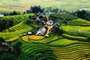 Sapa by bus 2 days – 1 night Bac Ha Market (overnight in hotel - Depart on only Saturday) HA3