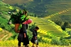 Sapa by bus 3 days - 2 nights Bac Ha Market (Depart on only Friday) HA6