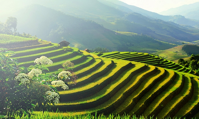 Picture of 5 experiences not to be missed in Vietnam