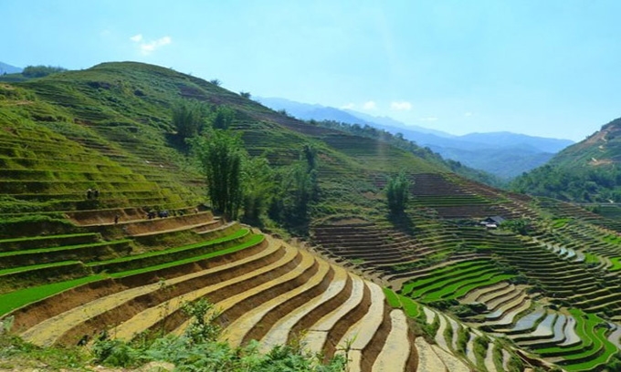 Picture of 10 Reasons to Go Trekking in Sapa: TripZilla