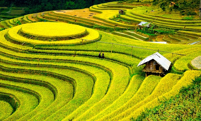 Picture of Expert Travel Guide for Northern Vietnam
