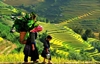 Picture of SAPA 2 DAYS 1 NIGHT (OVERNIGHT IN HOTEL) - SPTT1